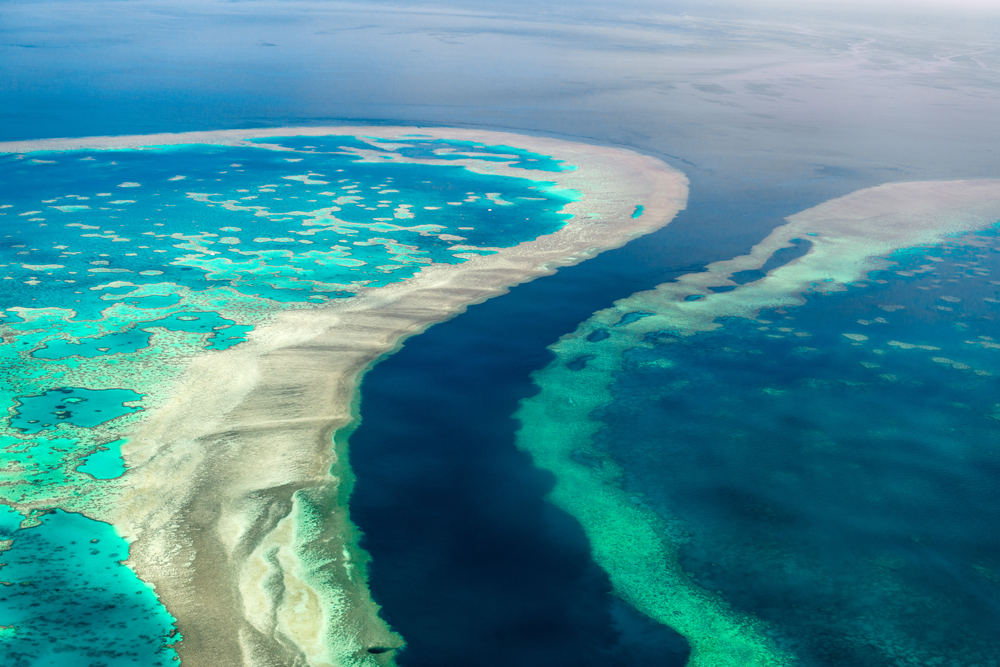 Great barrier reef