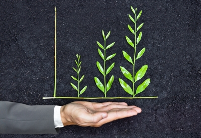 Hand of a businessman holding tree arranged as a green graph on soil background