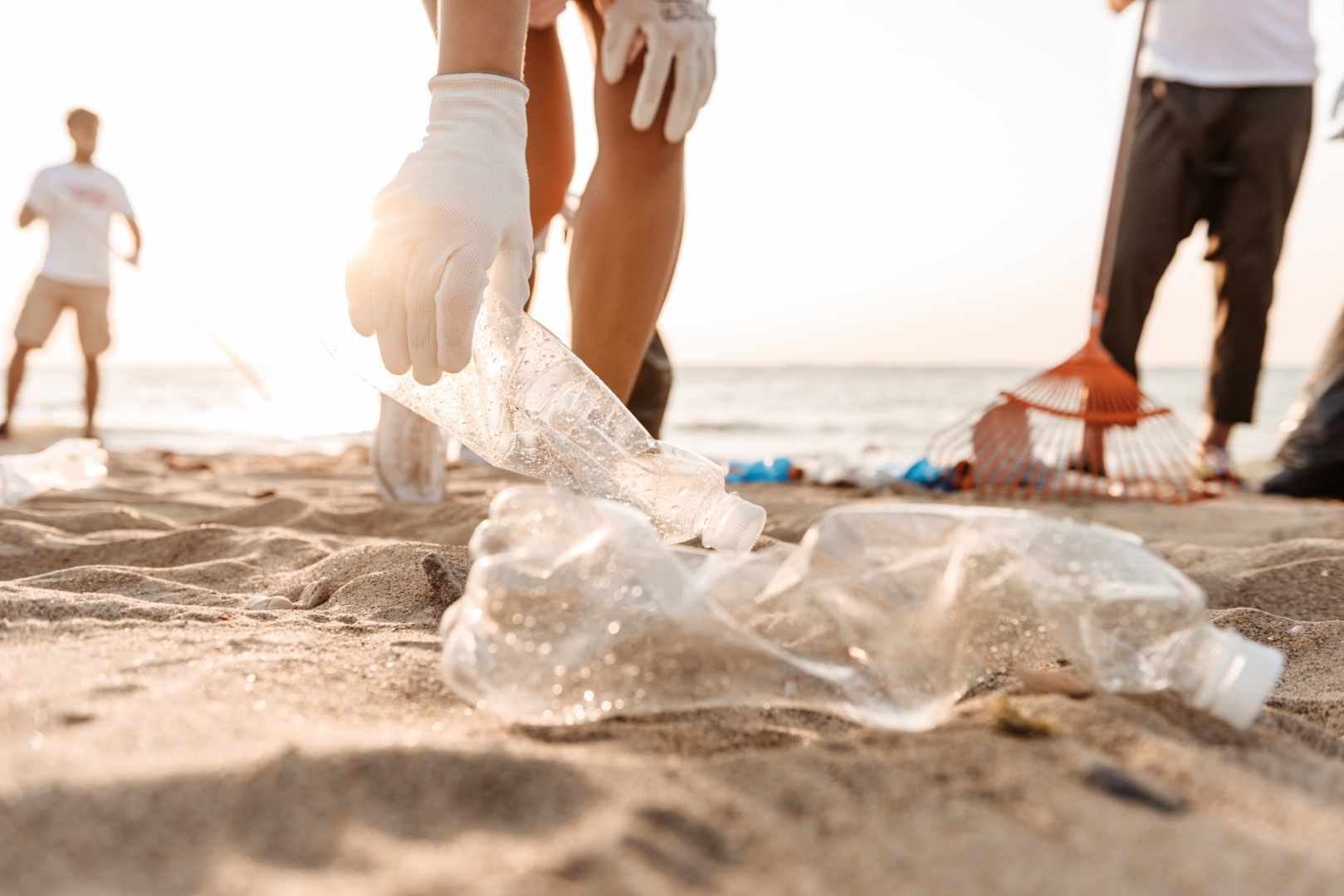 Clean-Up Your Beach! 