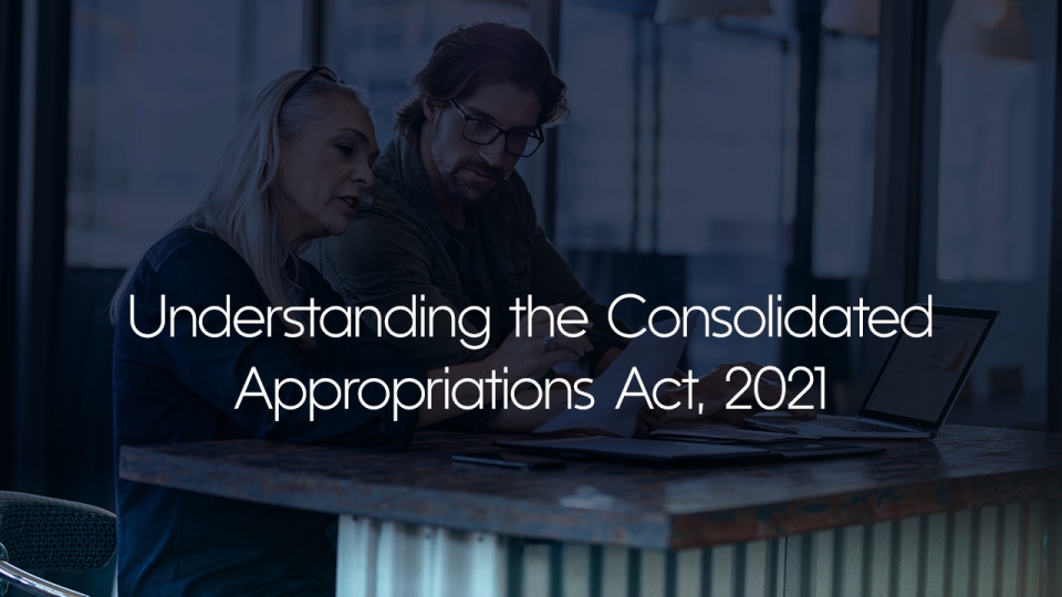 Preview image for The Consolidated Appropriations Act, 2021