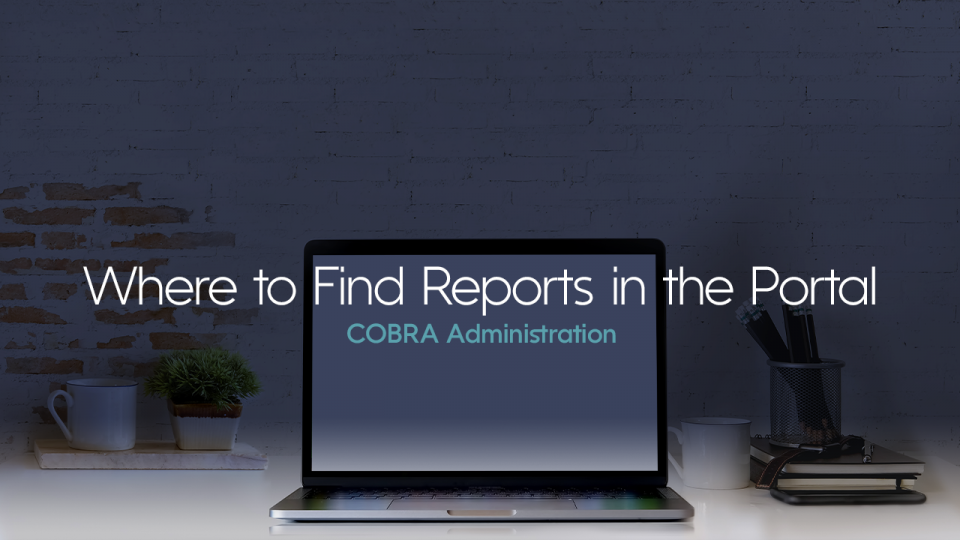Preview image for Where to Find Reports on the Portal