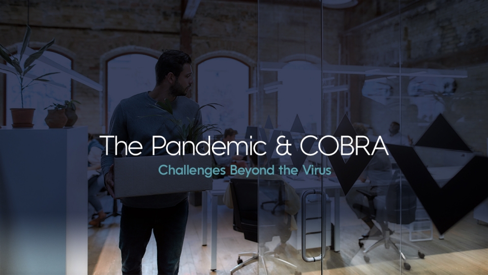 Preview image for The Pandemic & COBRA