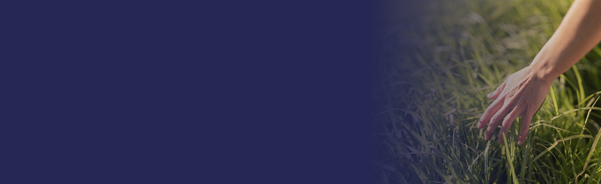 background image for MedcomBlog